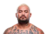 Mark Hunt